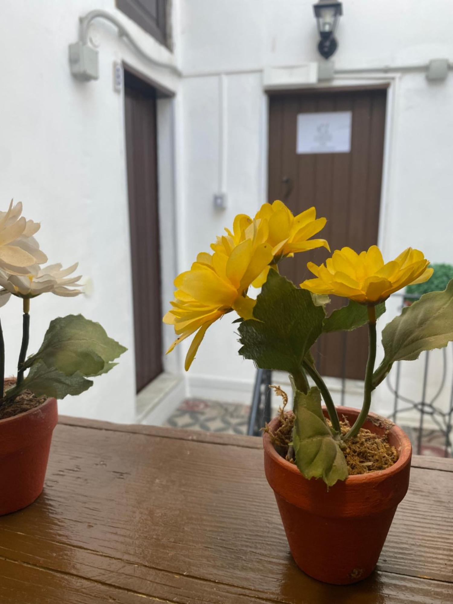 Appartement Florhouse Pacini à Catane Extérieur photo